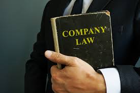 Navigating Directors’ Duties and Resolving Disputes Under Company Law